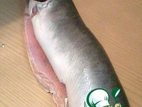 �������� �� ���� ���-������� �����������