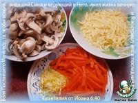 ����� � ���������� ���� �����������