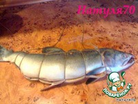 �������� ������� �����������