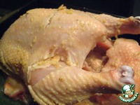 ������������� ������ "�������" �����������