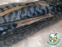 �������� ���������� ������� �����������