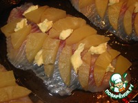 ���� "������" �����������