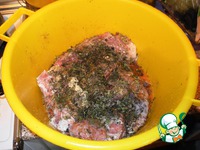 ������ �������� �����������