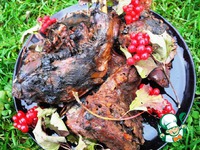 ������ �������� �����������