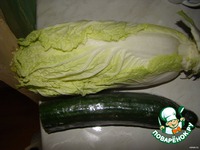 ����� �� ��������� ������� �����������