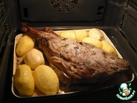 ���� ������, ���������� � ������ �����������