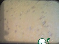 ���� ��������� �����������