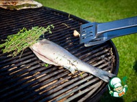 ������� ���� �����������