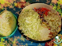 ����� � �������� � ������� �������� ���� �����������