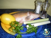 ������ ���� ���������� �����������