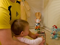 �������� ������ �����������