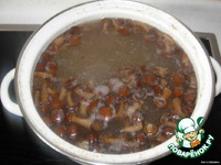 ����-��� � ������� �����������