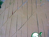 ������� �����������