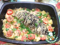 ���� "�����������" �����������