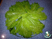 ����� "��������" �����������