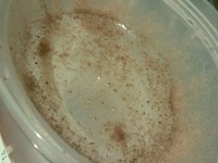 ������� ������ ������� �����������