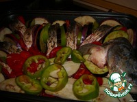 ����, ���������� � ������� �����������