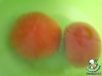 ��� "������� ����" �����������