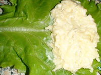 ������� ������� "�������" �����������