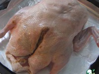 ���� ������������� "���������� �������" �����������