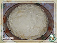 ������ ������ �����������