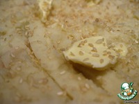 ����������� ��������� �����������