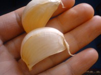 ���  "��������"  ���  "����� ������������� � ����������� ����" �����������