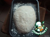 ������ ���� �� �������� �����������