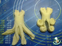 ������ ��� ������� �����������