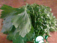 ������ ������� �� �����������