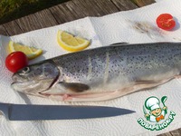 �������� ������ � ������ �� ����� �����������