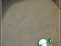 ������ �����������