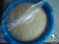 ������� ������� "��������" �����������