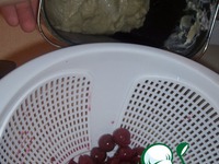 ������ � �������� �����������