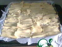 �������� �����������