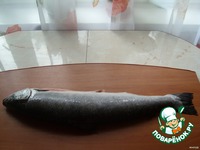 ����� � �������� ����� �����������