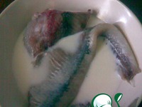 �����-���� �� ������ �����������