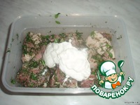 ���� ��-��������� �����������