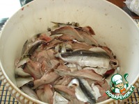 ������� �� ������ �����������