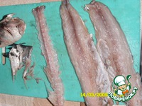 ���� ����� � ������� �����������