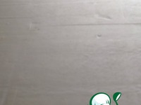 ����� � ���������� � ����� �������� �����������