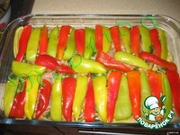 ������ � �������� ������� �����������