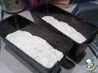 ���� ����� �����������