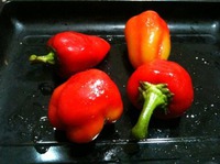 ����� � ������ �� ���������� ������ � ��������� �����������