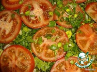 ������� ������� ���������-������� �����������