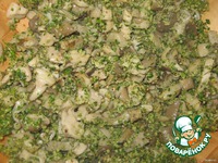 ������� ������ �����������