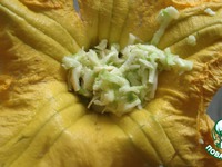 ������� ��-����������: ����� ������� � ����� �����������