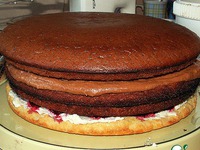 ���� "������" �����������