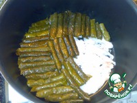 ���� �����������