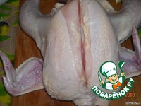 ����� �����������